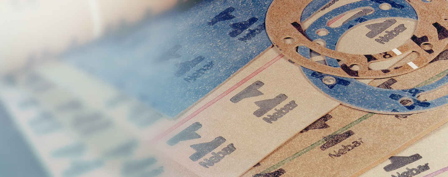 Corkelastomer gaskets Flat flange sealing James Walker