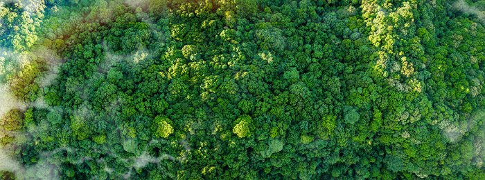 Sustainability small