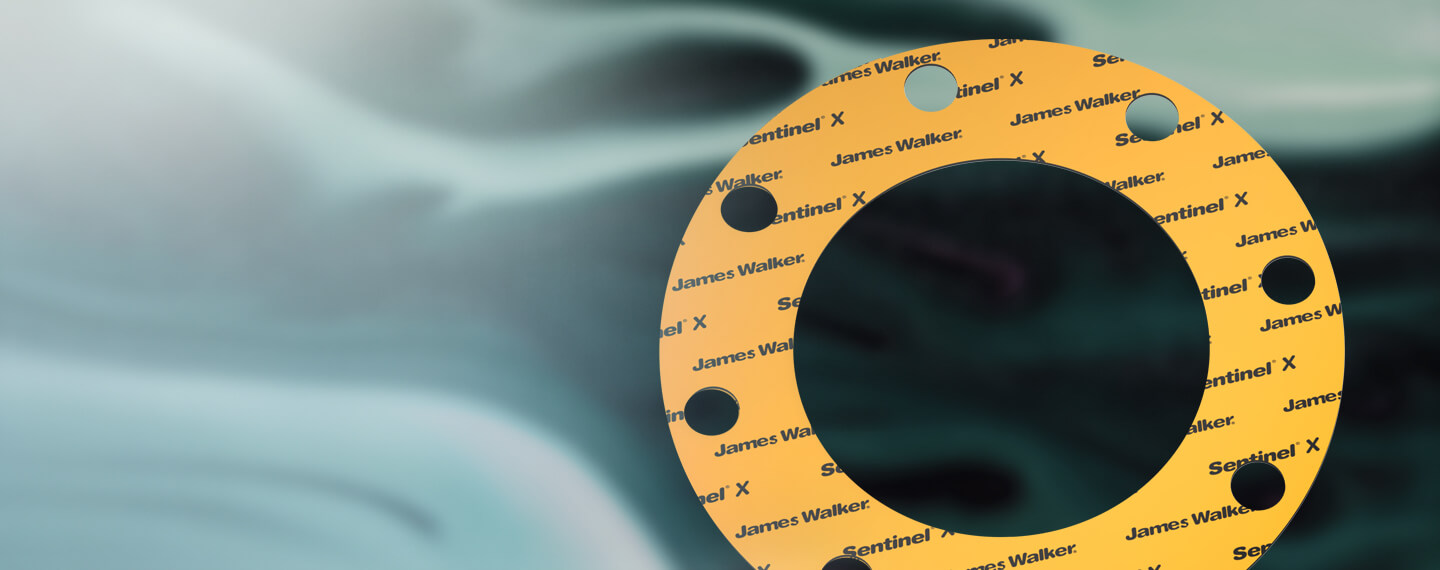 Sentinel X General purpose WRAS approved CNAF gasket James Walker