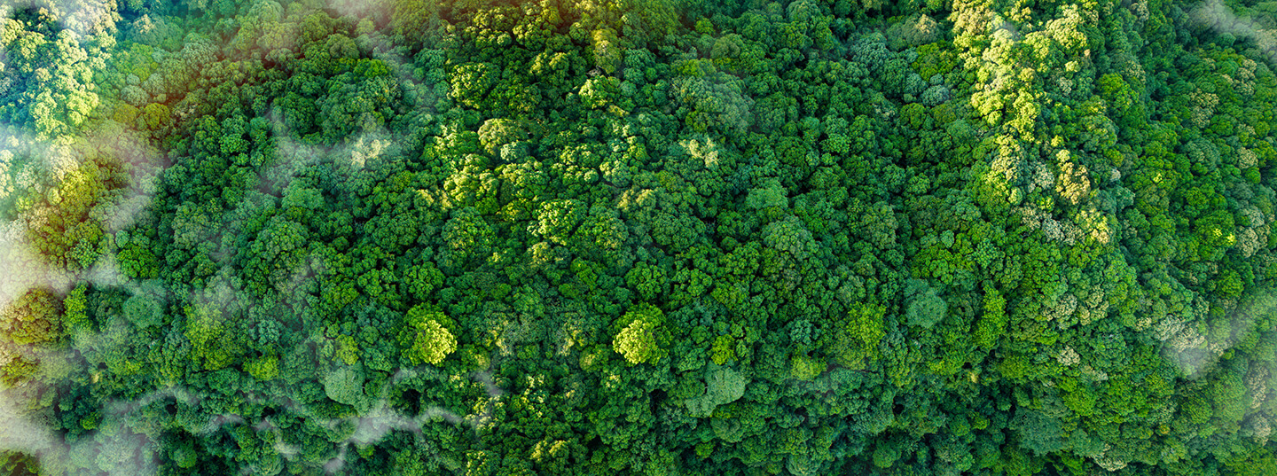 Sustainability