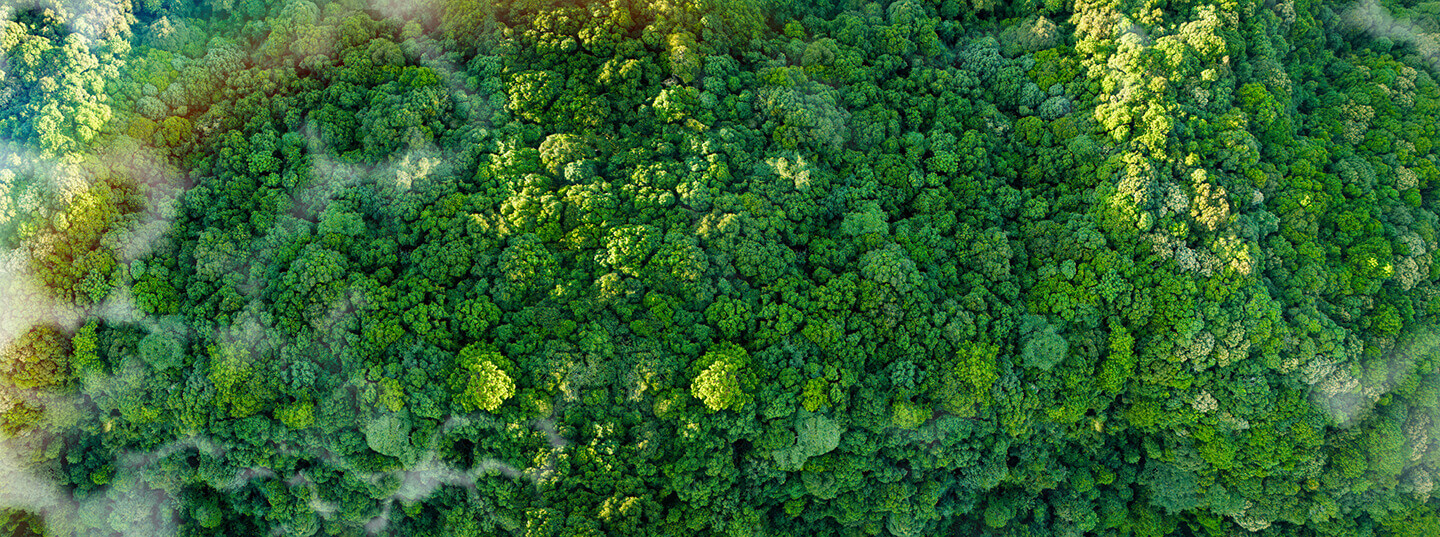 Sustainability